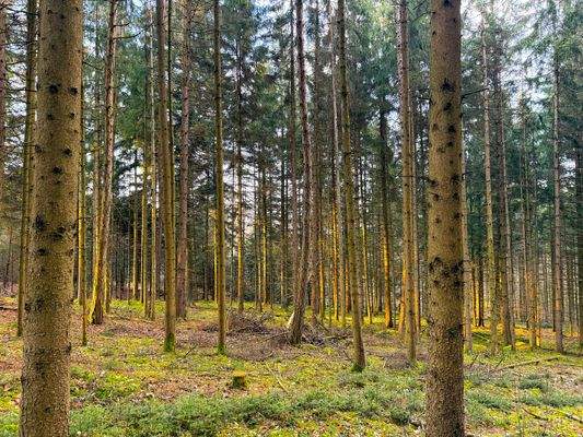 Blick auf den Bereich C.JPG