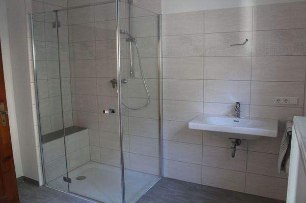 EG Badezimmer mit Dusche.png