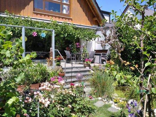 Garten und Terrasse im Sommer