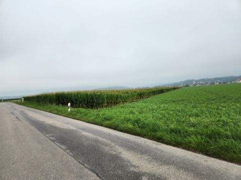 Fuchstal Bauernhöfe, Landwirtschaft, Fuchstal Forstwirtschaft