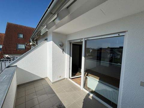 Lauingen Wohnungen, Lauingen Wohnung mieten