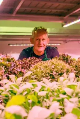 Indoorfarm des fertiggestellten we-house Herne