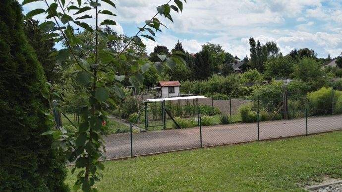 Blick von der Terrasse ins Grüne