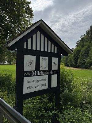 Milchenbach_Sackgasse in den Bergen