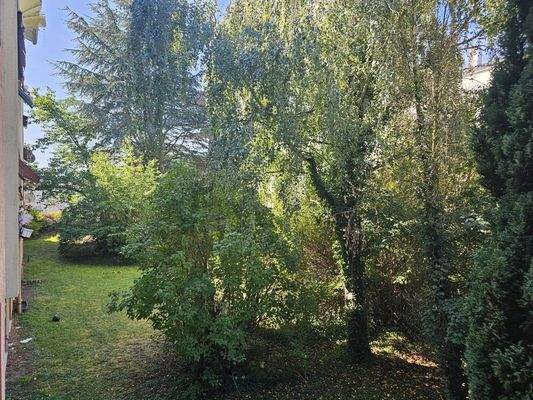 Grünanlage vor dem Balkon