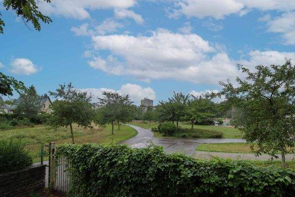 10. Rückseite mit Blick in den Sterndamm Park