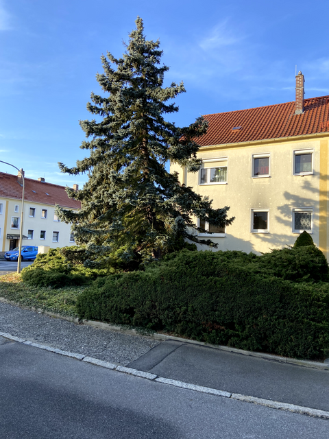 Niesky Wohnungen, Niesky Wohnung kaufen