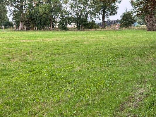 Wiese beider Häuser