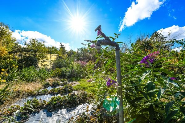 Wasseranschlüsse sind großzügig im Garten verteilt