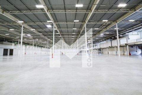 Duisburg Halle, Duisburg Hallenfläche