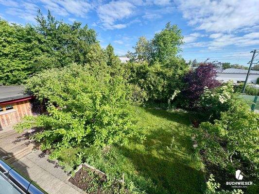 Grüner Garten mit Terrasse