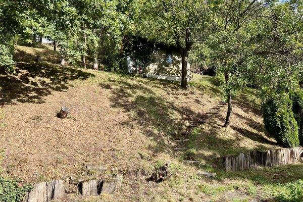 Blick auf die restliche Grundstücksfläche