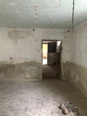 IMG_1660.jpg