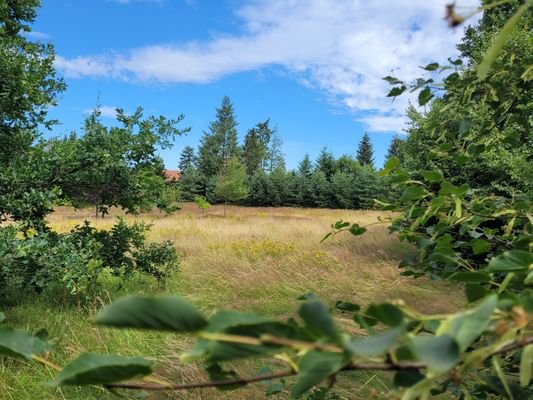 Baugrundstück in Bad Bodenteich