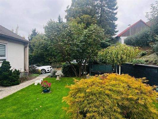 Garten hinter dem Haus 