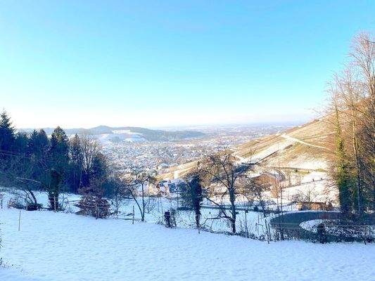 Blick über die Rheinebene