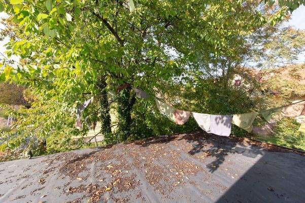 Birkenweg 4, 8051 Thal-55