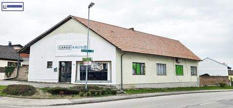 Hof am Leithaberge Halle, Hof am Leithaberge Hallenfläche