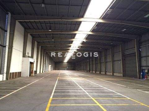 Bottrop Halle, Bottrop Hallenfläche