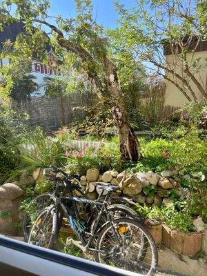 Blik auf den Garten Wohnung EG