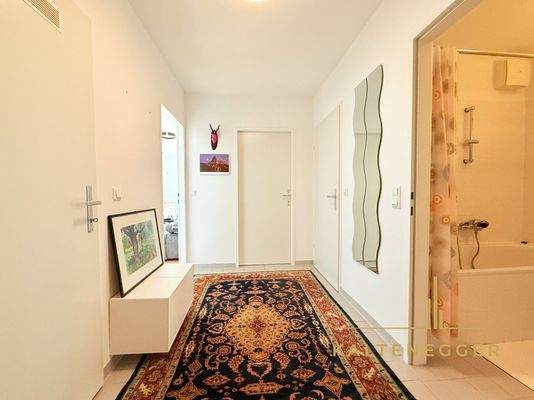 Zentraler Vorrraum mit Zugang zu allen Räumen (links Abstellraum)