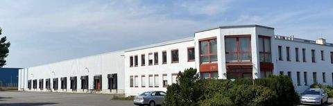 Möckern / Büden Halle, Möckern / Büden Hallenfläche