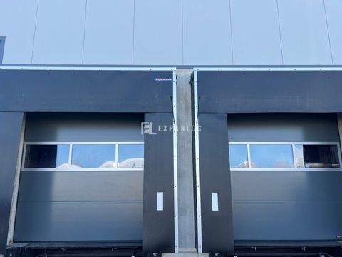 Alsdorf Halle, Alsdorf Hallenfläche