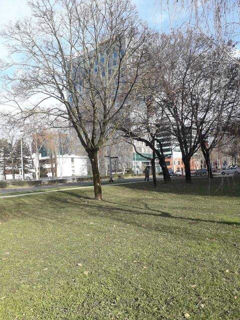 Siegendorf Häuser, Siegendorf Haus kaufen