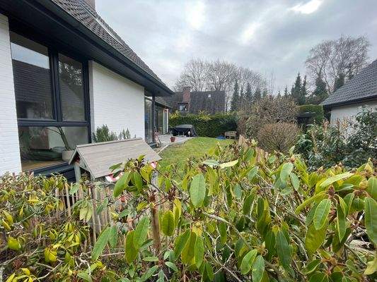 Blick in den Garten mit Terrasse