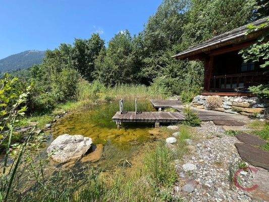 Villa Bad Kleinkirchheim (62)