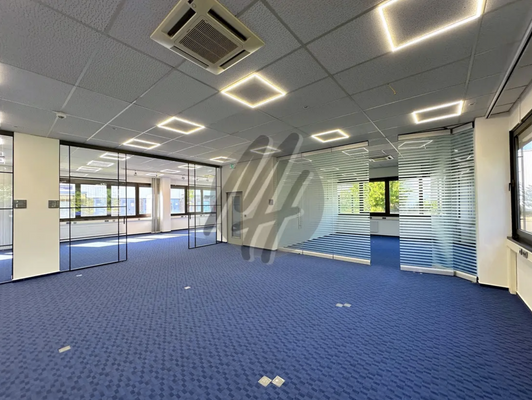 INFOS UNTER: 06171-586000