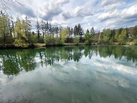 Blick auf See/Teich