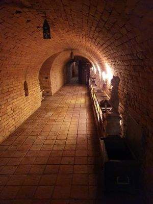 PHOTO-2021-11-27-10-39-35 (4)