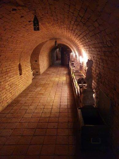 Pillichsdorf Bauernhöfe, Landwirtschaft, Pillichsdorf Forstwirtschaft