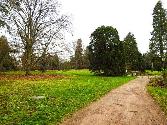 Park Rosenhöhe.jpg