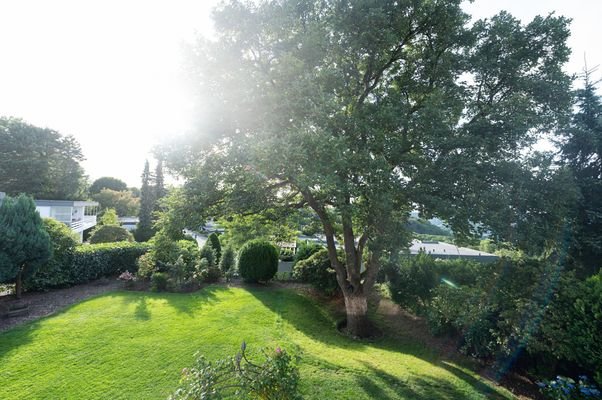 Gartenaussicht oben