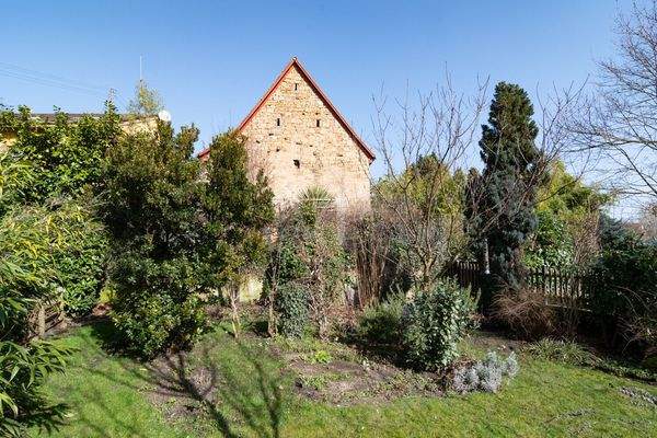 schön angelegter Garten