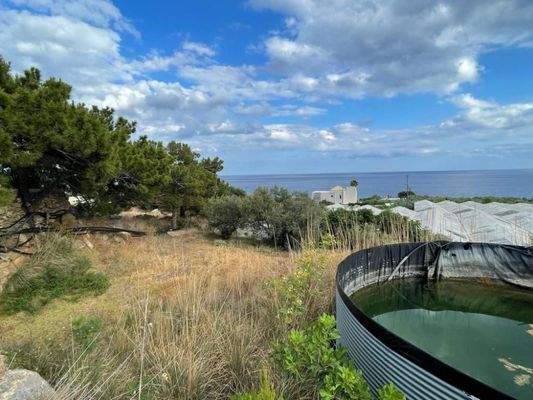 Kreta, Mavros Kolimpos: Grundstück mit Meerblick zu verkaufen