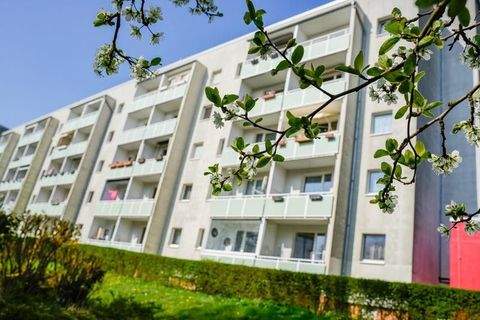 Magdeburg Wohnungen, Magdeburg Wohnung mieten