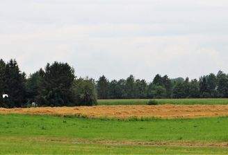 Grünland im Isental