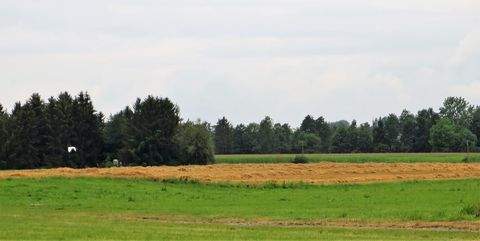 Rattenkirchen Bauernhöfe, Landwirtschaft, Rattenkirchen Forstwirtschaft