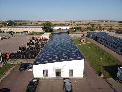 Güsten Halle, Güsten Hallenfläche