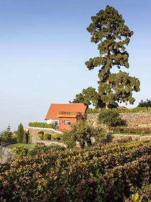 WhatsApp Image 2025-05-01 at 12.49.03 (1).jpeg