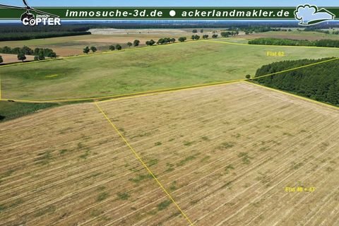 Ganzlin / Retzow Bauernhöfe, Landwirtschaft, Ganzlin / Retzow Forstwirtschaft