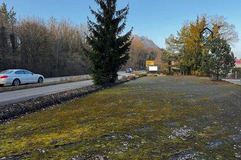 Singen (Hohentwiel) Industrieflächen, Lagerflächen, Produktionshalle, Serviceflächen