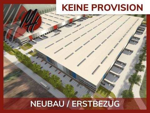 Gelnhausen Halle, Gelnhausen Hallenfläche