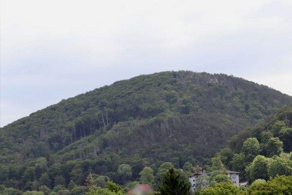 Ausblick der Große Burgberg 
