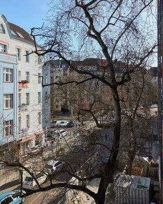 Ausblick in die Nähringstraße 