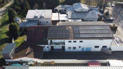 Linkenheim-Hochstetten Halle, Linkenheim-Hochstetten Hallenfläche