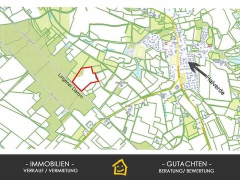 Hopsten Bauernhöfe, Landwirtschaft, Hopsten Forstwirtschaft